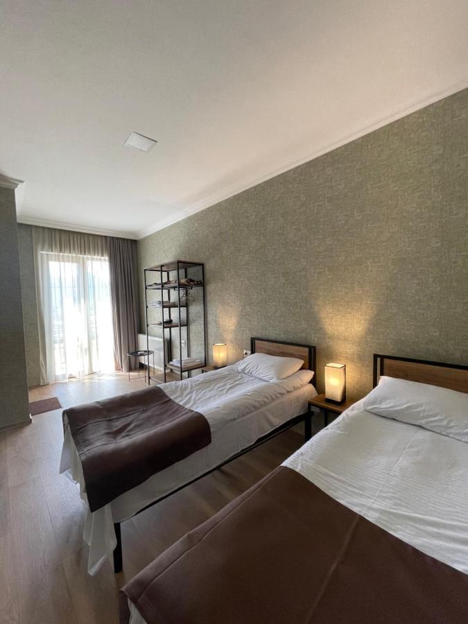 Hotel Aldema à Kazbegi Extérieur photo